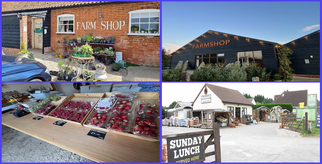 Best Farm Shops in Colchester, UK