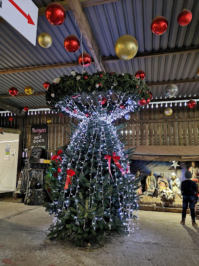 Gower Fresh Christmas Trees Farm